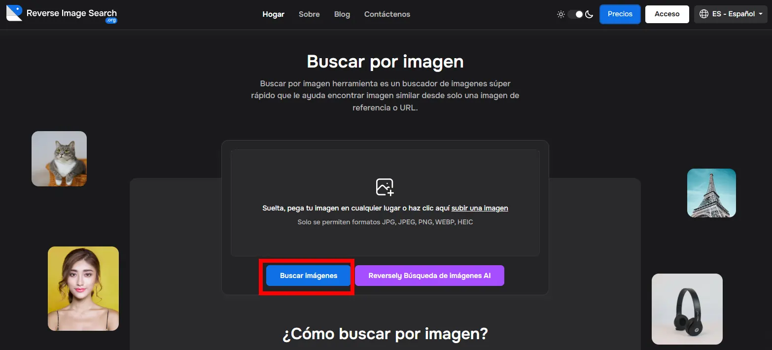 Web de Reverse image search