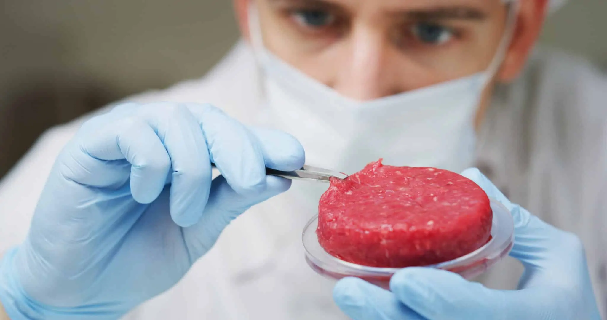 Investigador manipulando carne cultivada en laboratorio