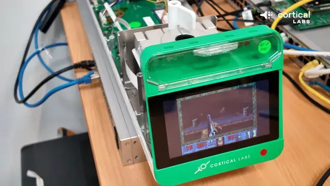 Dispositivo CL1 de Cortical Labs mostrando DOOM en pantalla
