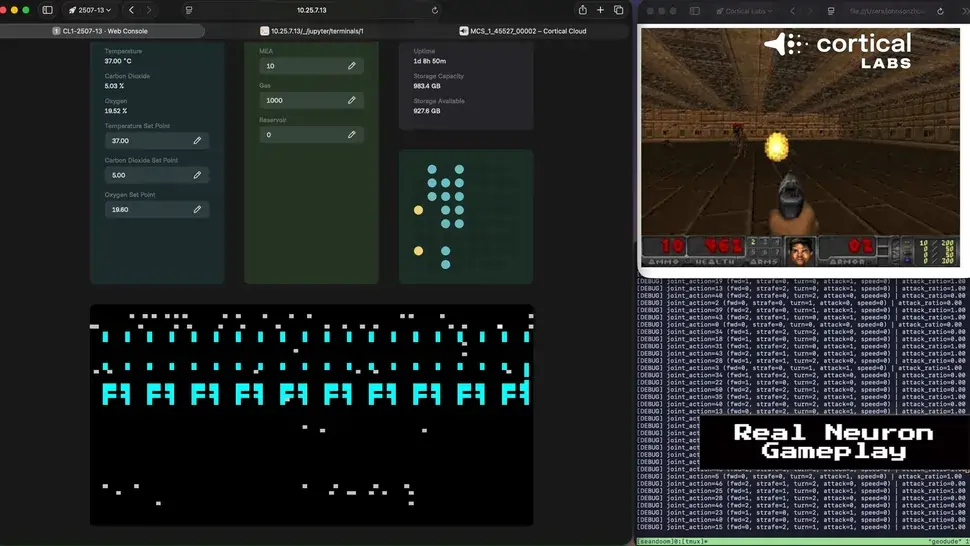 Interfaz mostrando actividad neuronal en tiempo real mientras se juega DOOM