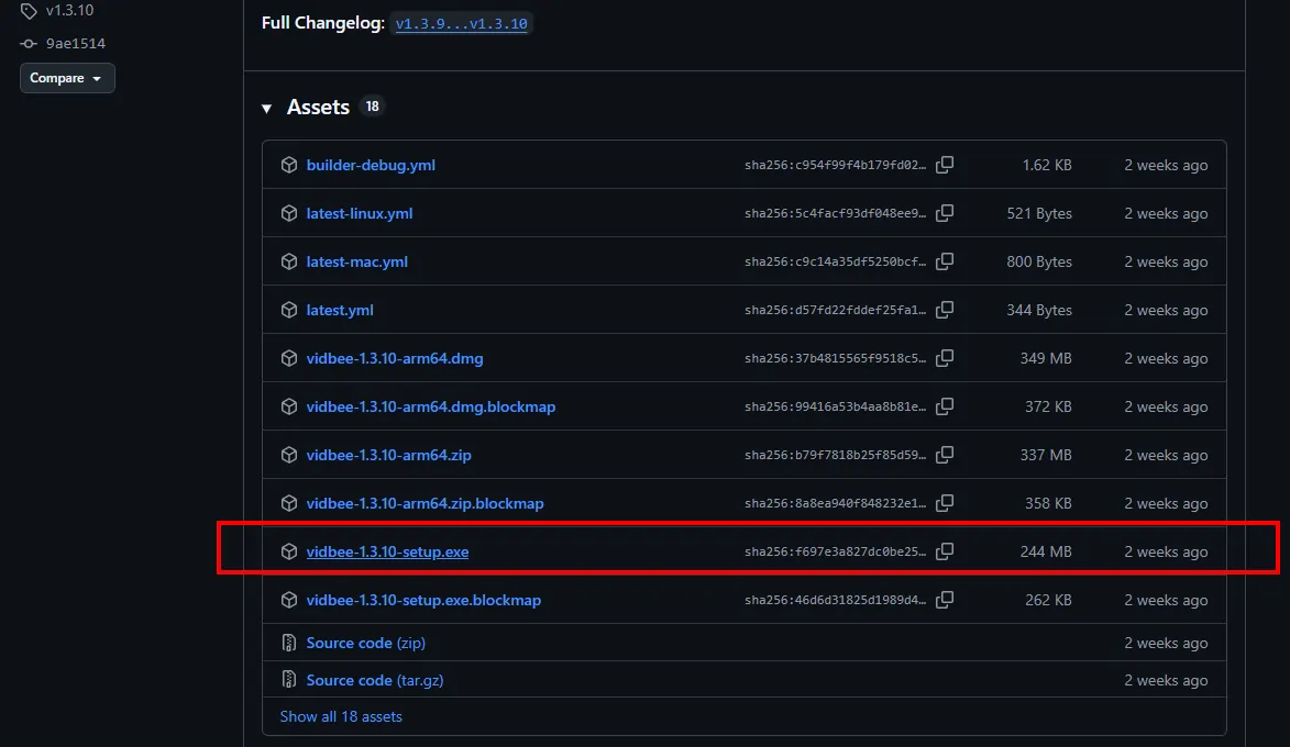 Descarga del instalador de VidBee desde GitHub Releases